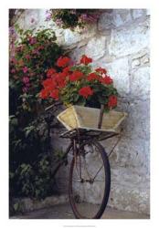 Flower Box Bike | Obraz na stenu