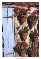 Geranium Wall | Obraz na stenu