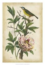 Antique Bird in Nature II | Obraz na stenu