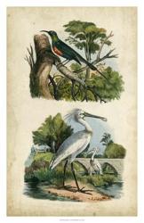 Avian Sanctuary I | Obraz na stenu