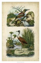 Avian Sanctuary II | Obraz na stenu