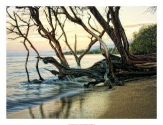 Reaching for the Sea I | Obraz na stenu