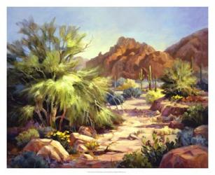 Desert Beauty | Obraz na stenu