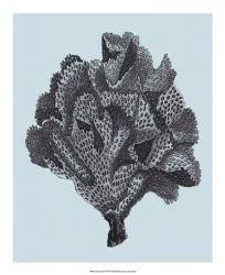 Coral on Aqua IV | Obraz na stenu