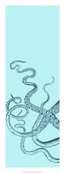 Octopus Triptych I | Obraz na stenu