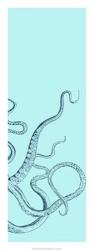 Octopus Triptych III | Obraz na stenu