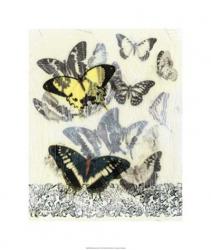 Butterfly Habitat I | Obraz na stenu