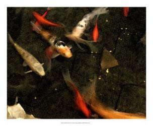 Goldfish Pond II | Obraz na stenu