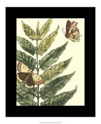 Butterflies & Leaves I | Obraz na stenu