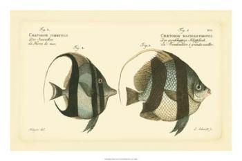 Bloch Antique Fish I | Obraz na stenu