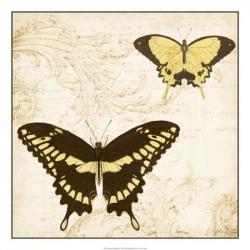 Jardin des Papillons I | Obraz na stenu