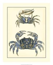 Antique Blue Crabs II | Obraz na stenu