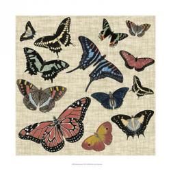 Butterflies & Linen I | Obraz na stenu