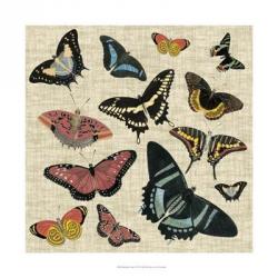 Butterflies & Linen II | Obraz na stenu