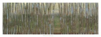 Blue Birch Forest II | Obraz na stenu