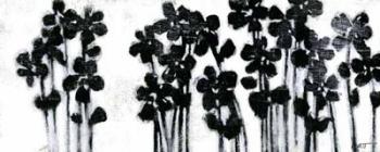 Black Flowers on White I | Obraz na stenu