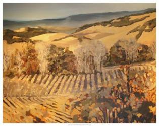 Autumn Vineyard | Obraz na stenu