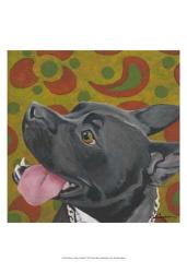 Dlynn's Dogs - Kendall | Obraz na stenu