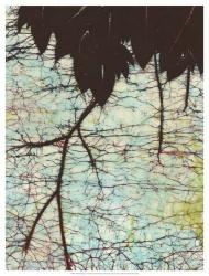 Batik Hanging Leaves II | Obraz na stenu