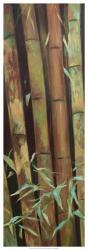 Bamboo Finale I | Obraz na stenu