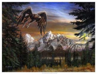 Soaring Eagle | Obraz na stenu