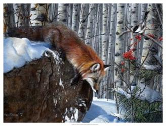 Fox in Winter | Obraz na stenu