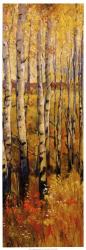 Vivid Birch Forest II | Obraz na stenu
