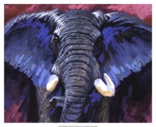 Bold Elephant I | Obraz na stenu