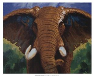 Bold Elephant II | Obraz na stenu