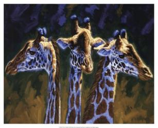 Three Giraffes | Obraz na stenu