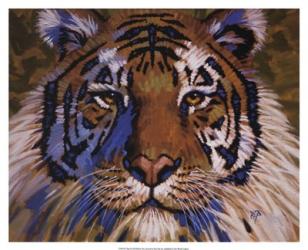 Tiger | Obraz na stenu