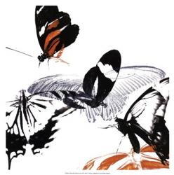 Butterfly Inflorescence III | Obraz na stenu