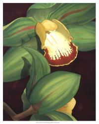 Lime Orchid II | Obraz na stenu