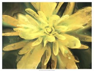 Painterly Flower VII | Obraz na stenu