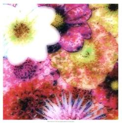 Floral Reef IV | Obraz na stenu