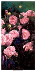 Rose Garden II | Obraz na stenu