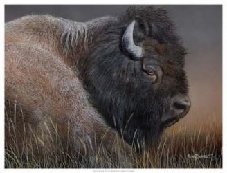 American Icon- Bison | Obraz na stenu