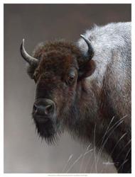 American Icon- Buffalo | Obraz na stenu