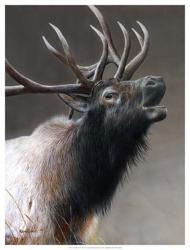 American Icon- Elk | Obraz na stenu