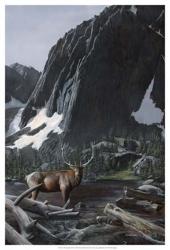 Mountainside Elk I | Obraz na stenu