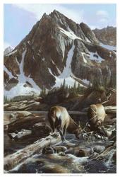 Mountainside Elk II | Obraz na stenu