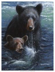 Bearly Swimming | Obraz na stenu