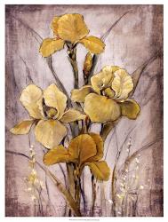 Golden Irises I | Obraz na stenu