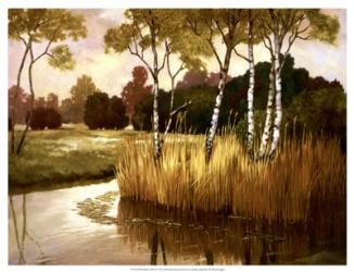 Reeds, Birches & Water II | Obraz na stenu