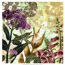 Foxglove Meadow II | Obraz na stenu