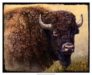 Bison Portrait I | Obraz na stenu