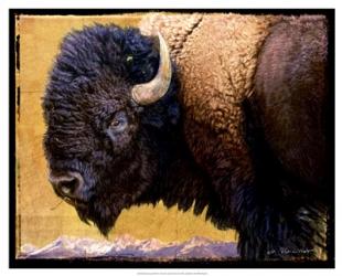 Bison Portrait III | Obraz na stenu