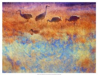 Cranes in Soft Mist | Obraz na stenu