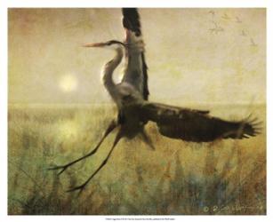 Foggy Heron II | Obraz na stenu