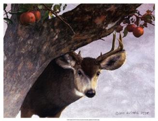 Apple Deer | Obraz na stenu